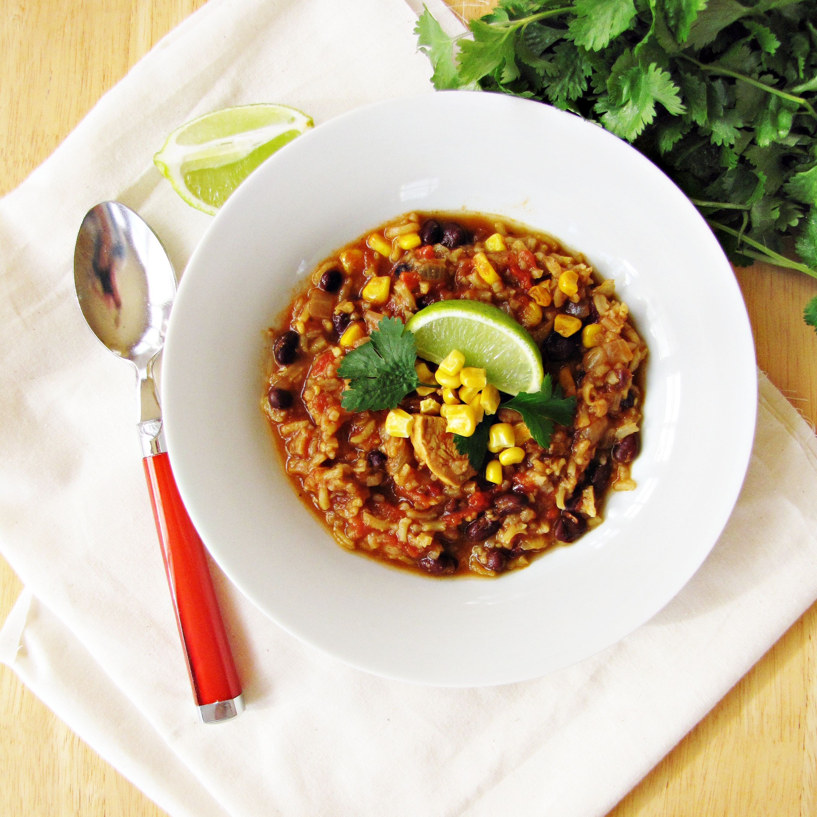 Chili-Chicken Stew with Black Beans and Rice