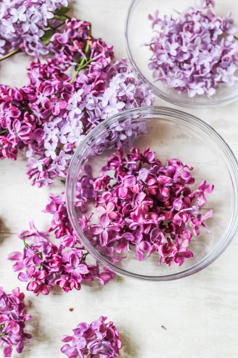 Prepping Lilacs for Baking {Katie at the Kitchen Door}