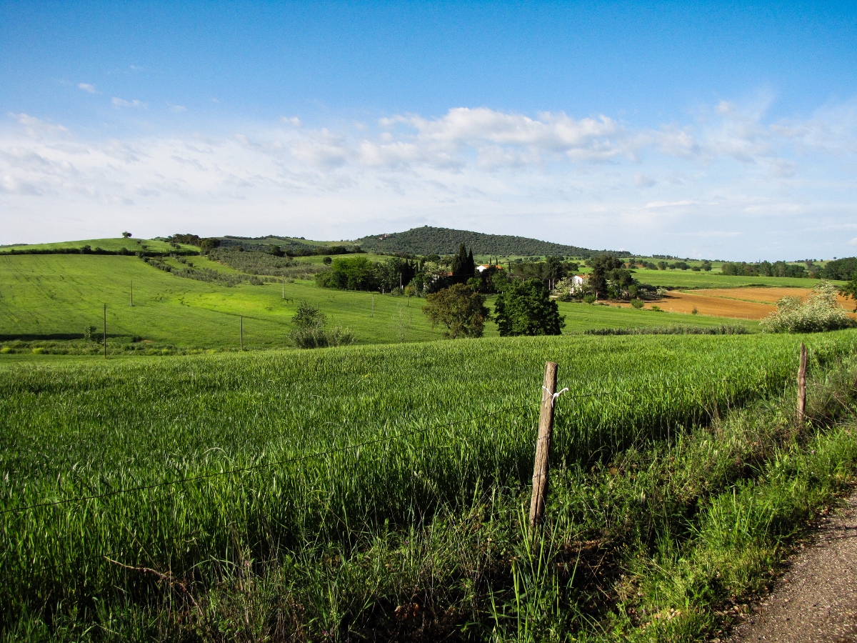 Italy Part 2: The Maremma // Carbonara Pizza