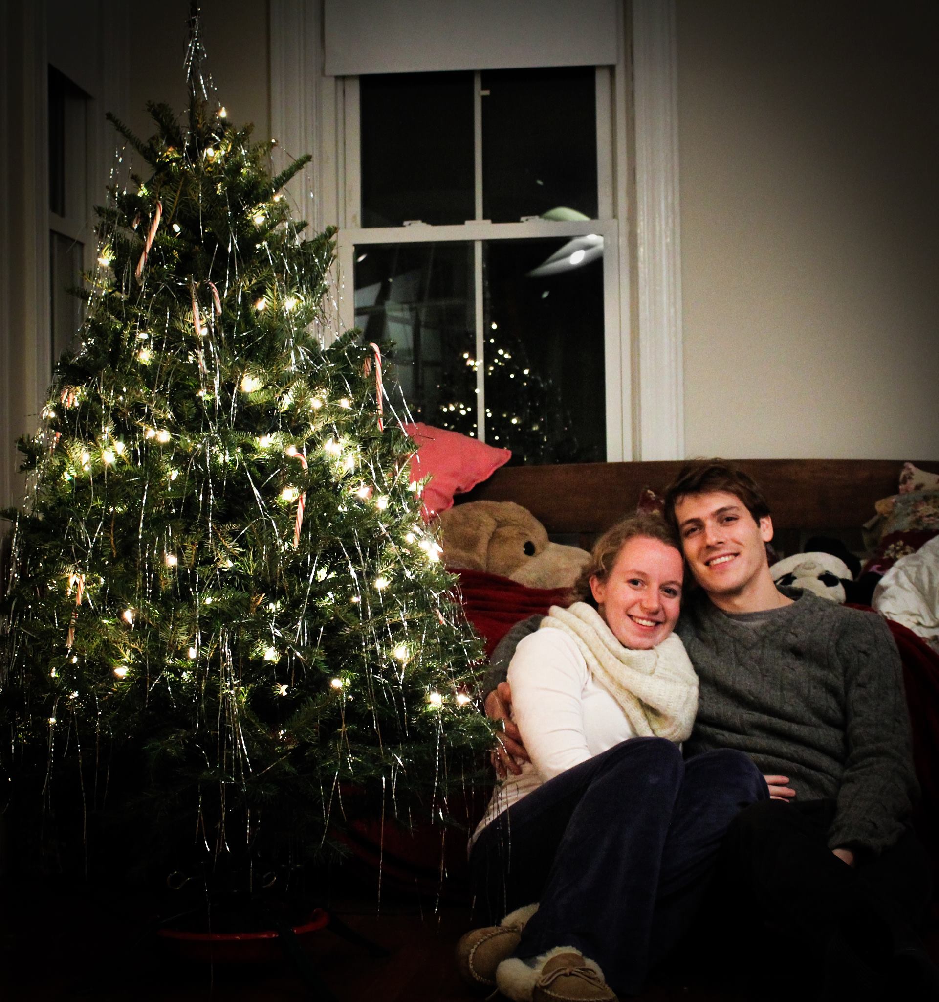 Gratuitous Christmas Tree Picture