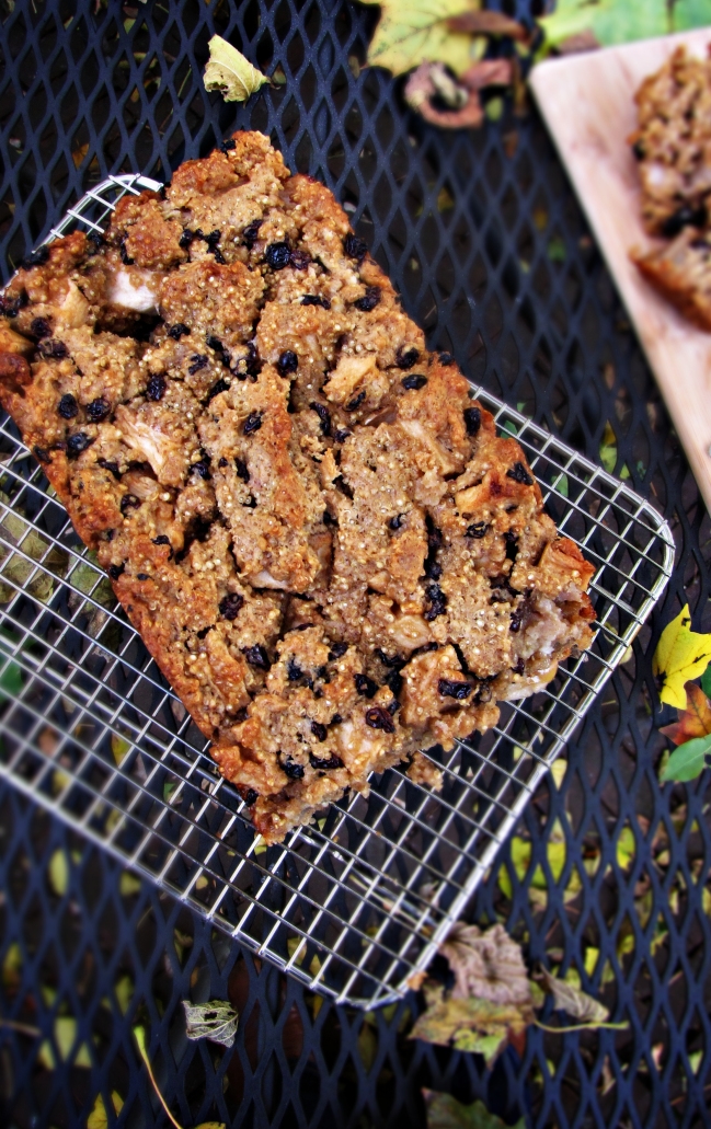 Winter Cleanse 2014: Healthy Snack Recipes - Apple Quinoa Cake {Katie at the Kitchen Door}