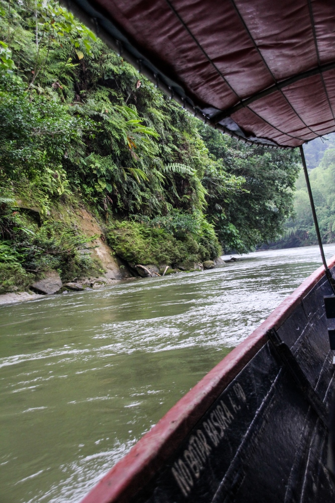 Ecuador Travelogue: The Amazon - On the Arajuno River {Katie at the Kitchen Door}