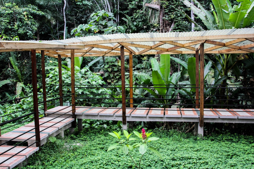 Ecuador Travelogue: The Amazon - Itamandi Lodge {Katie at the Kitchen Door}