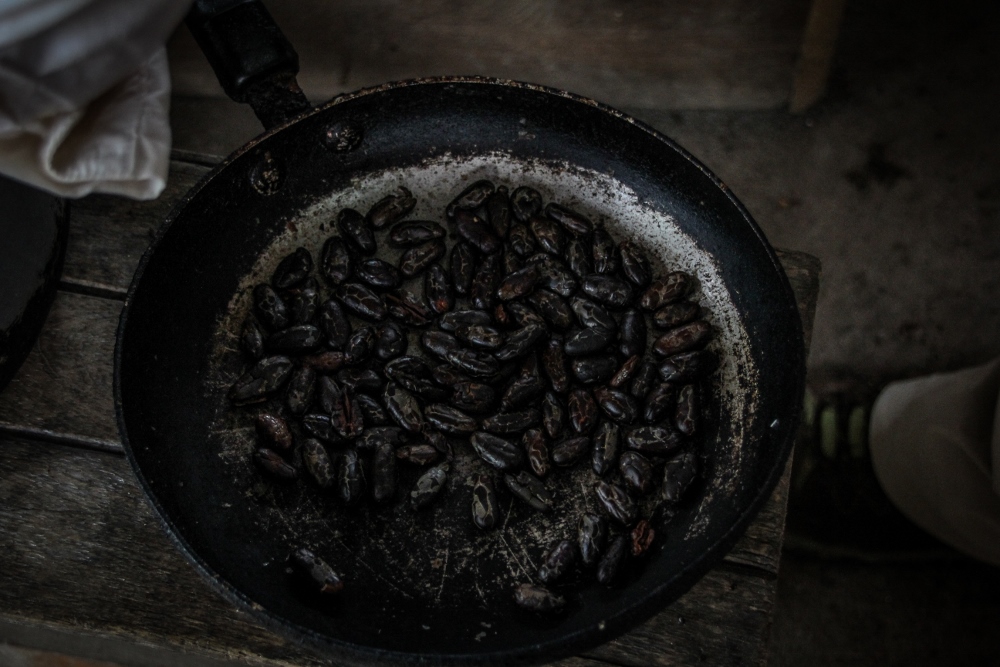 Ecuador Travelogue: The Amazon - Roasting Cacao Beans {Katie at the Kitchen Door}