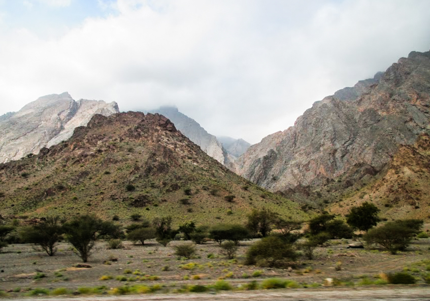 A Trip to Oman // Mint-and-Sumac Grilled Goat Chops with Tahini Sauce