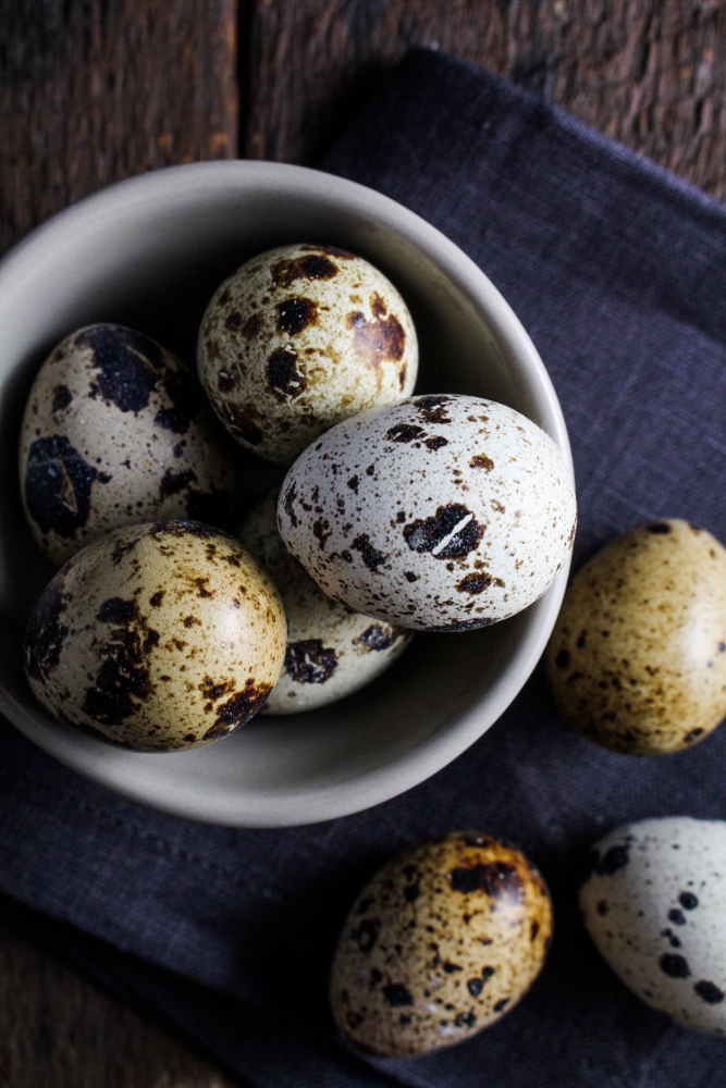 Quail Eggs {Katie at the Kitchen Door}