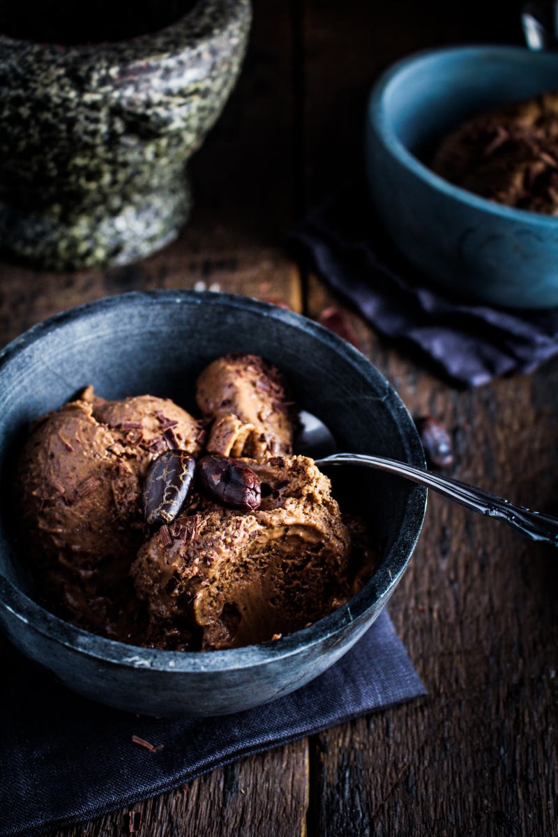 Book Club: Yucatan, Recipes from a Culinary Expedition // Mayan Chocolate Frozen Custard