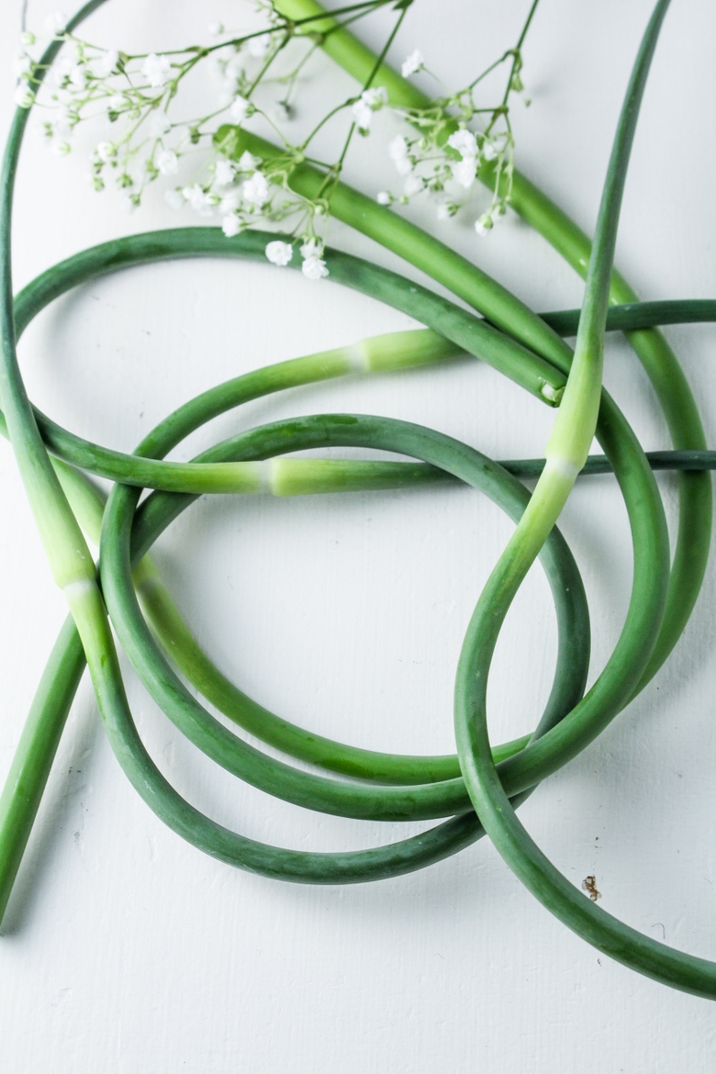 Garlic Scapes - An Early Summer Delicacy - I Breathe I'm Hungry