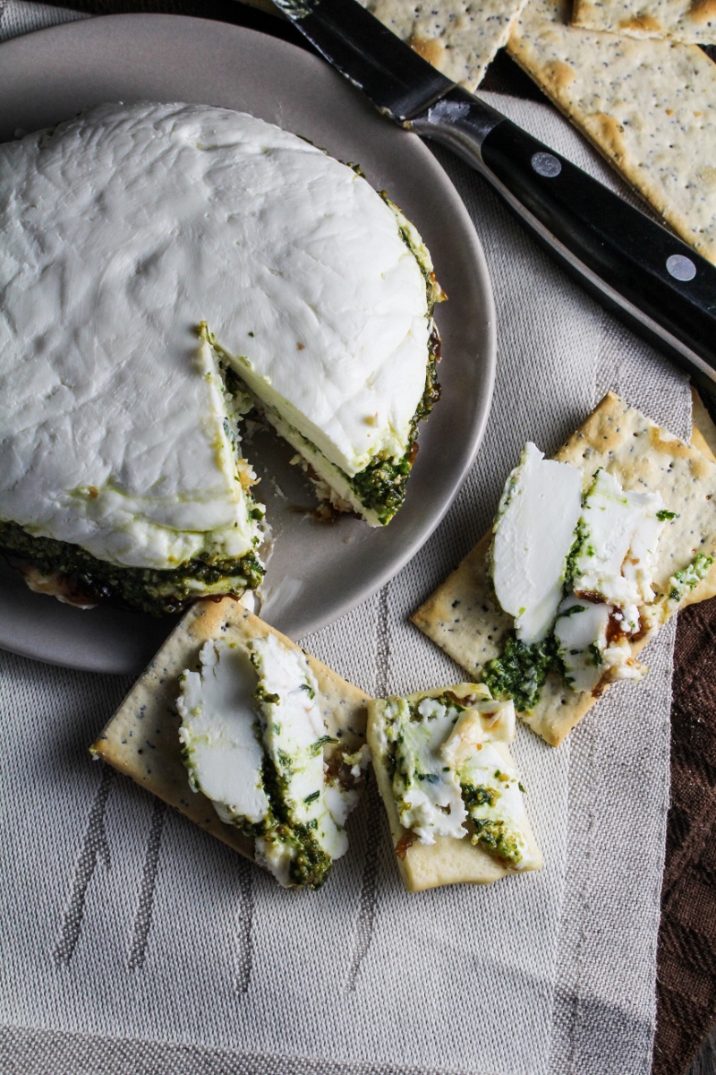 Goat Cheese Terrine with Fig Jam and Pesto {Katie at the Kitchen Door} #houseofcheese