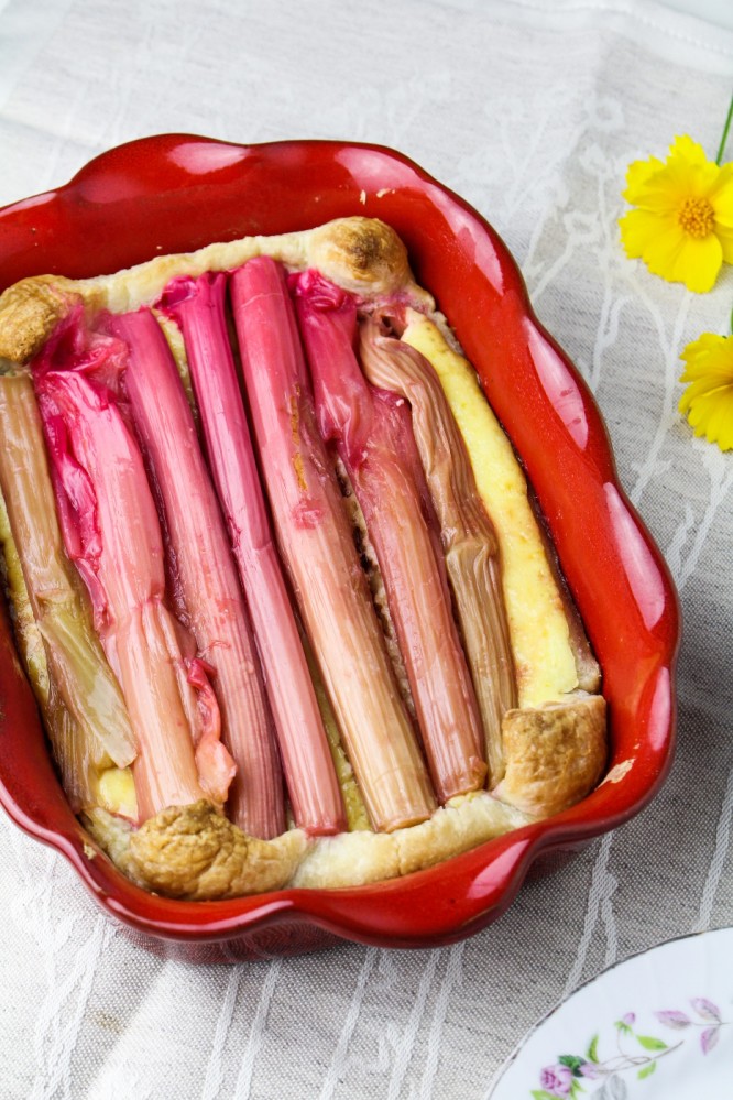 Moving // Rosé-Poached Rhubarb Cheesecake Tart - Katie at the Kitchen Door