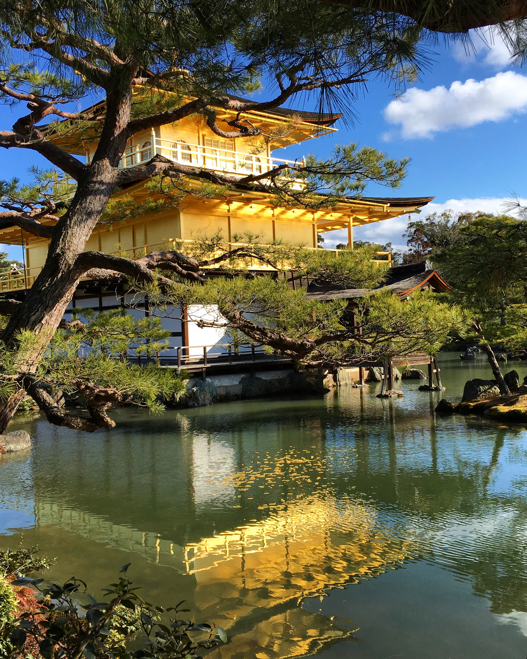 Japan Part 1: Kyoto Travelogue // Matcha Cream Puffs