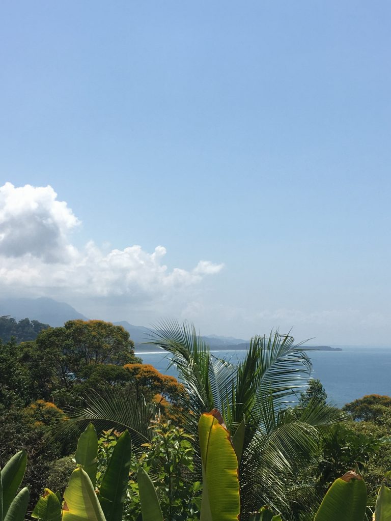 Puntarenas, Costa Rica {Katie at the Kitchen Door}